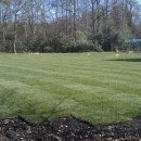 Finished lawn - 1000 sq m